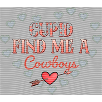 Valentine's Day-QRJ  4197